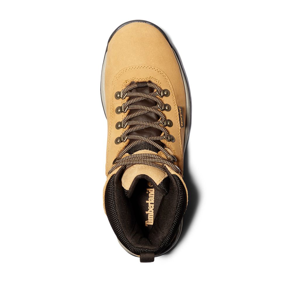 Timberland Mens Hiking Boots White Ledge Mid Waterproof - Brown/Black - India OL7562831